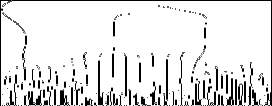 \includegraphics[width=6cm]{fig/e10-2001-205/CWT/skel16.eps}